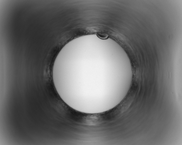 X0000089900418200707192036