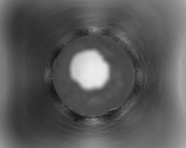 X0000089900419200707192036