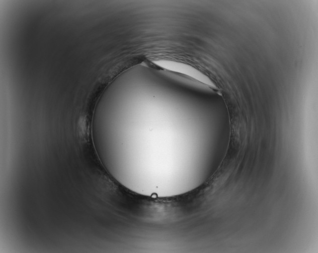 X0000089900420200707192036