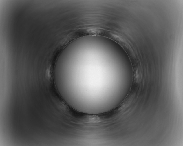 X0000089900424200707192036