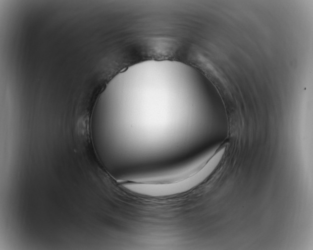 X0000089900425200707192036