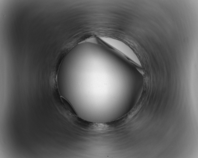 X0000089900429200707192036