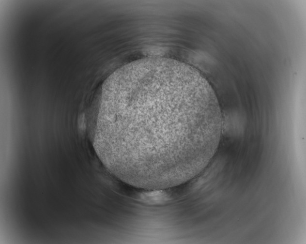 X0000089900431200707192036