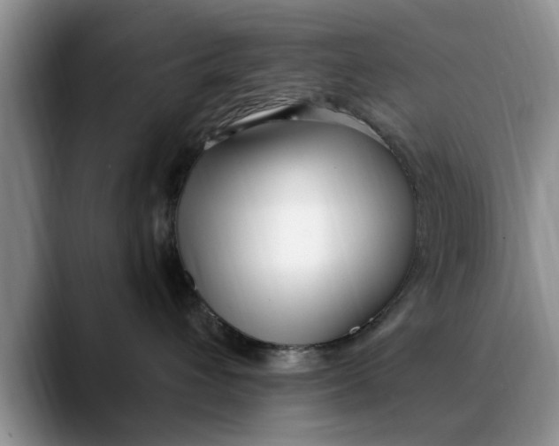 X0000089900432200707192036