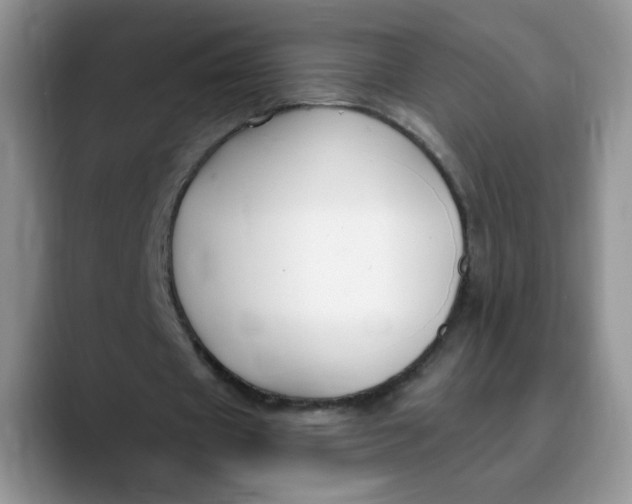 X0000089900433200707192035