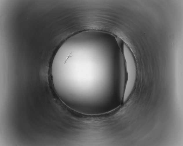 X0000089900434200707192035