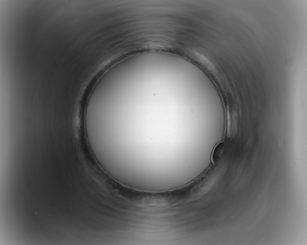 X0000089900435200707192035