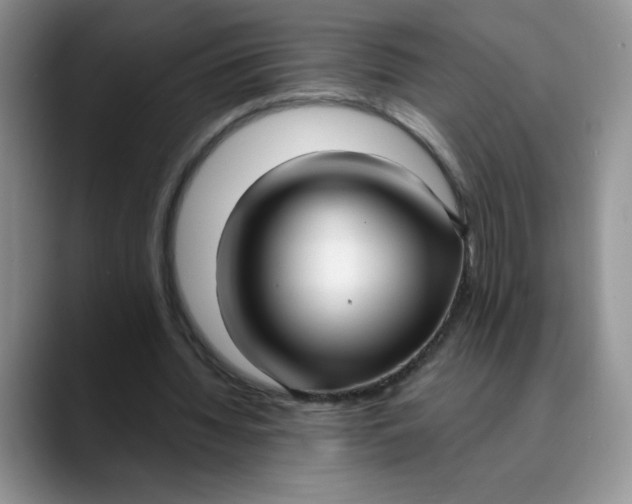 X0000089900436200707192035