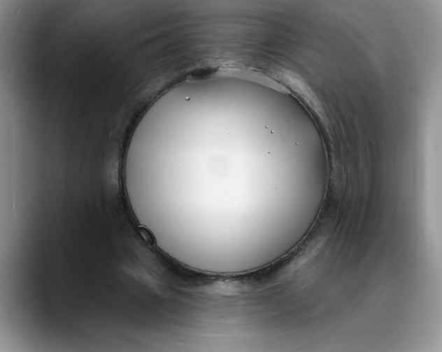 X0000089900441200707192035