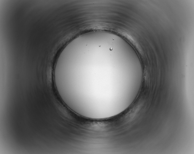 X0000089900445200707192035