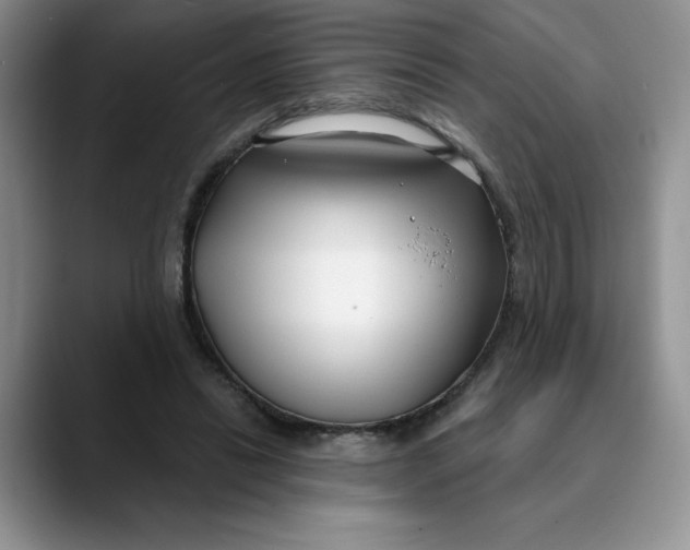 X0000089900446200707192035