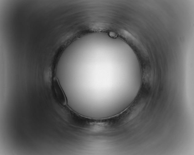 X0000089900448200707192036