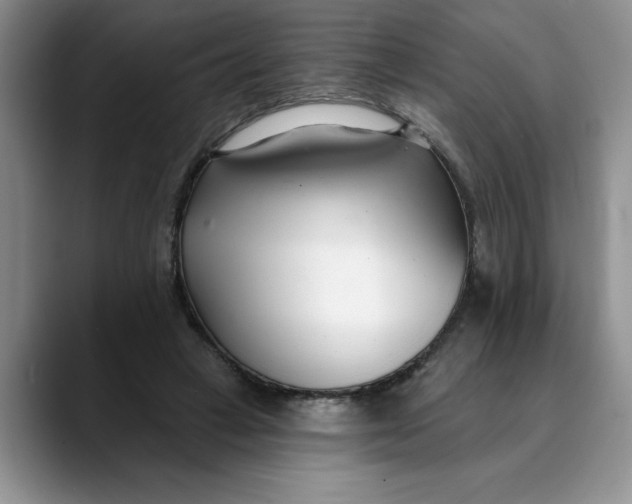 X0000089900449200707192036