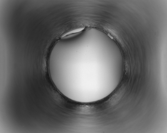 X0000089900453200707192036
