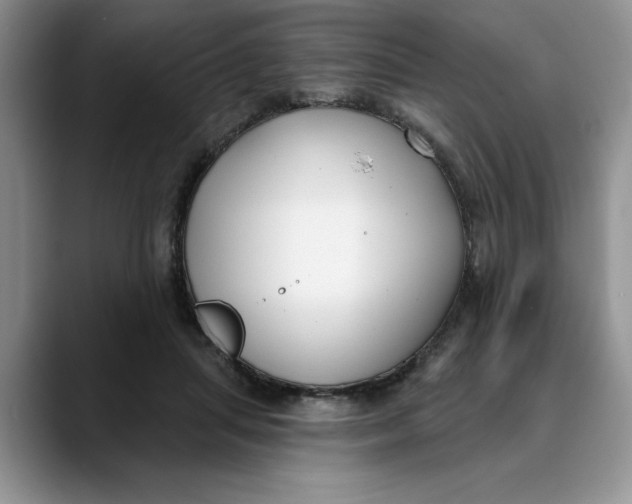 X0000089900455200707192036