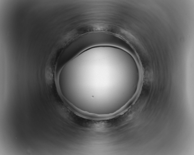 X0000089900456200707192036