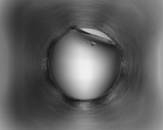 X0000089900462200707192036