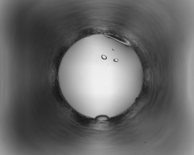 X0000089900463200707192036