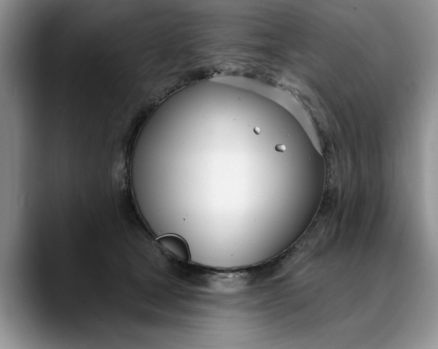 X0000089900465200707192036