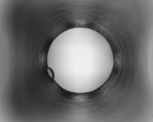 X0000089900468200707192036
