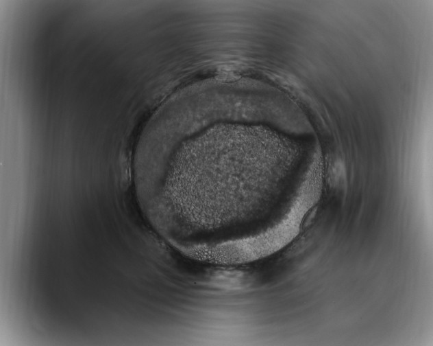 X0000089900471200707192036