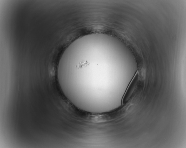 X0000089900472200707192036
