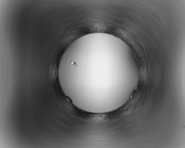 X0000089900474200707192036