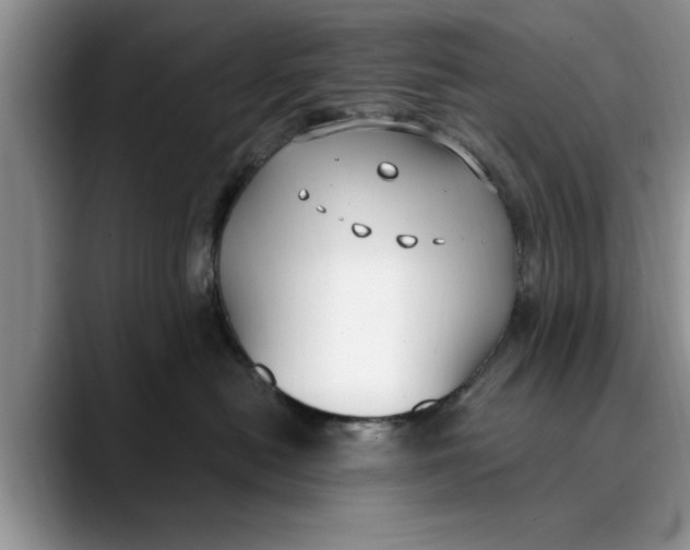 X0000089900478200707192036