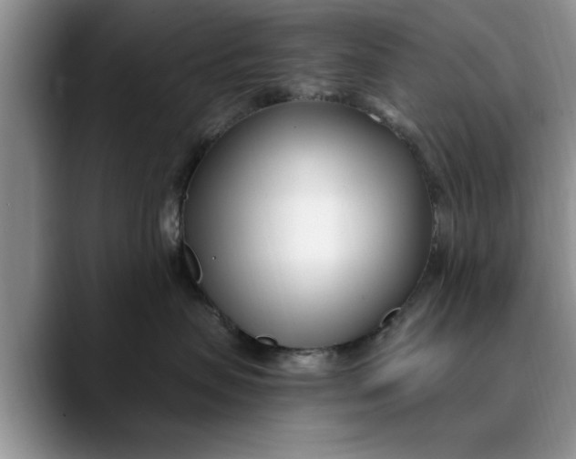X0000089900479200707192036