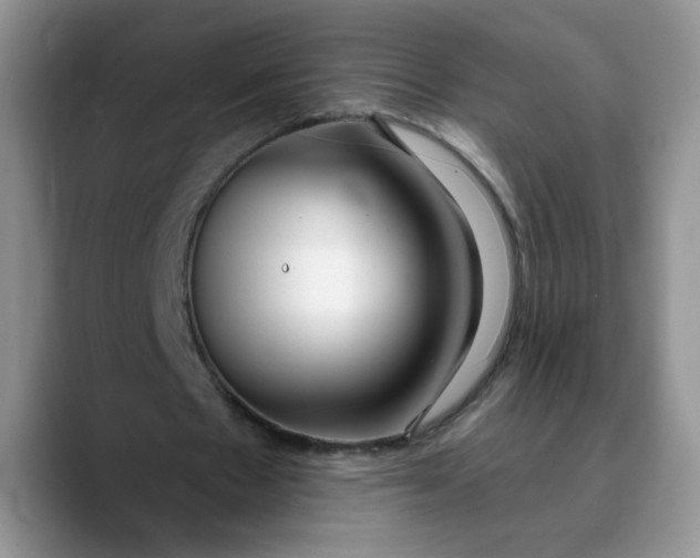 X0000089900481200707192035