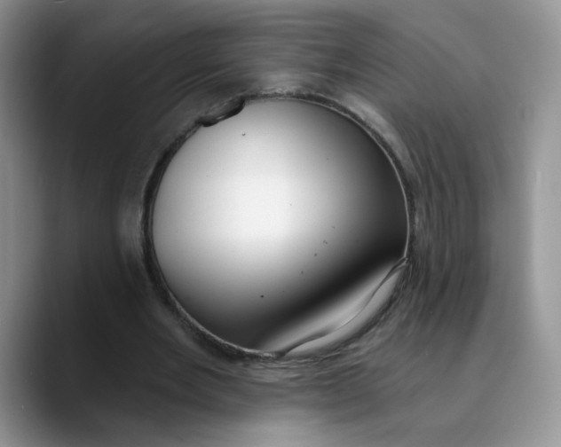 X0000089900485200707192035