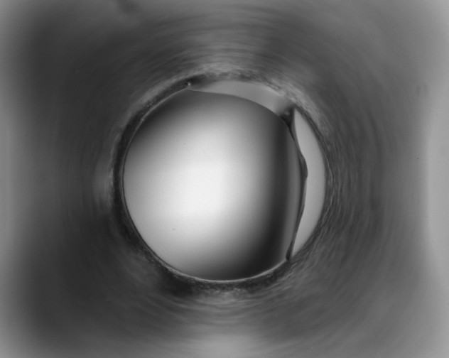 X0000089900488200707192035