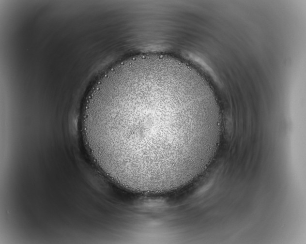 X0000089900491200707192035