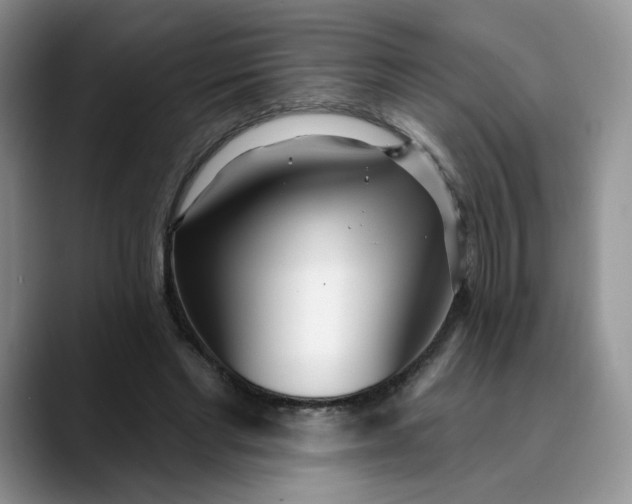 X0000089900493200707192035