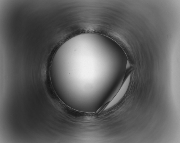 X0000089900496200707192035