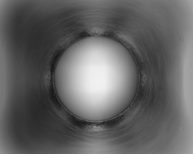 X0000089900498200707192035