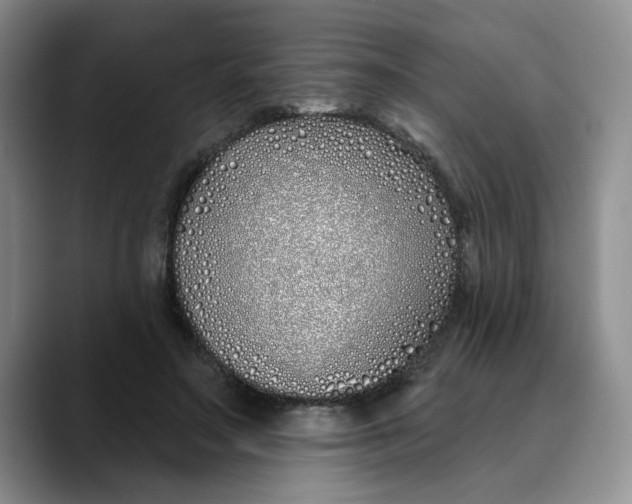 X0000089900499200707192035