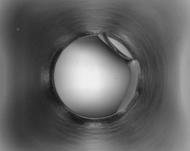 X0000089900500200707192035