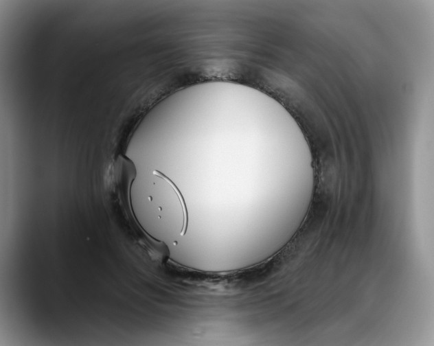 X0000089900502200707192035