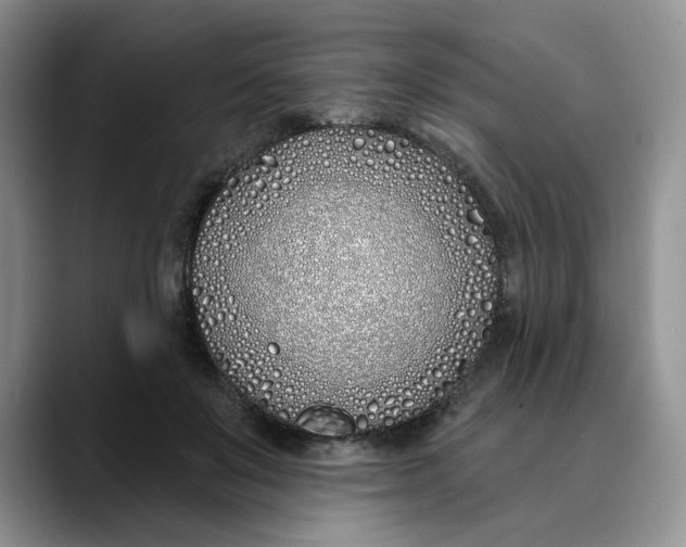 X0000089900503200707192035