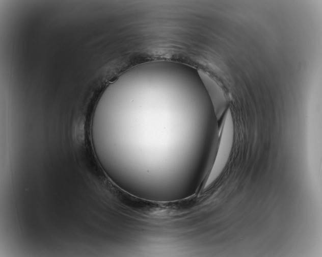 X0000089900504200707192035