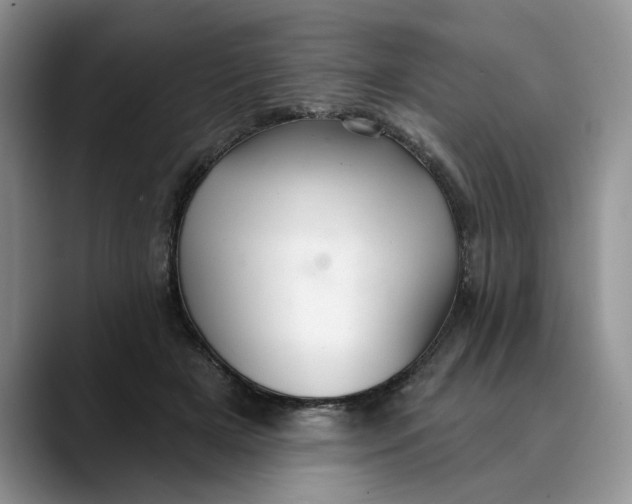 X0000089900505200707192035