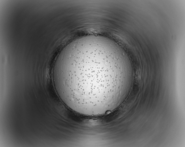 X0000089900506200707192035