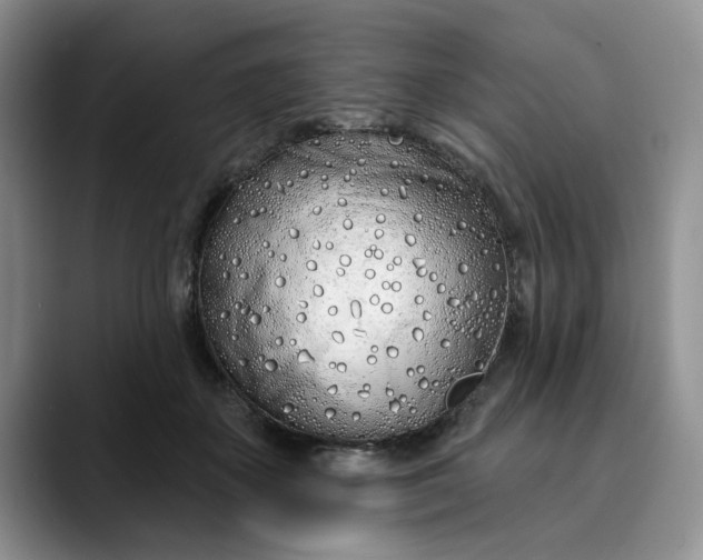 X0000089900507200707192035