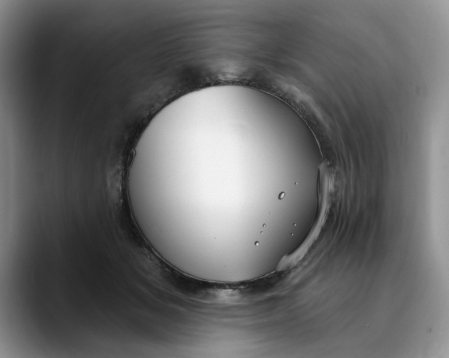 X0000089900509200707192035