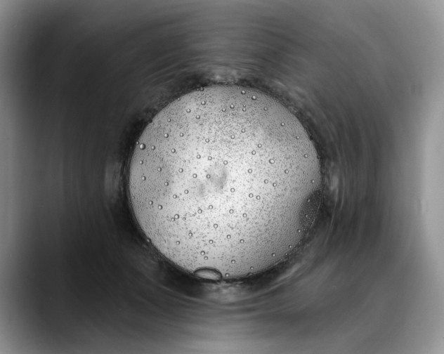 X0000089900511200707192035