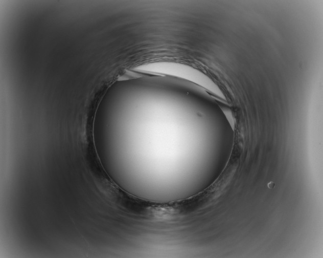 X0000089900512200707192035