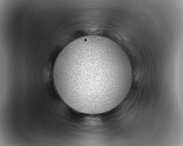 X0000089900515200707192035