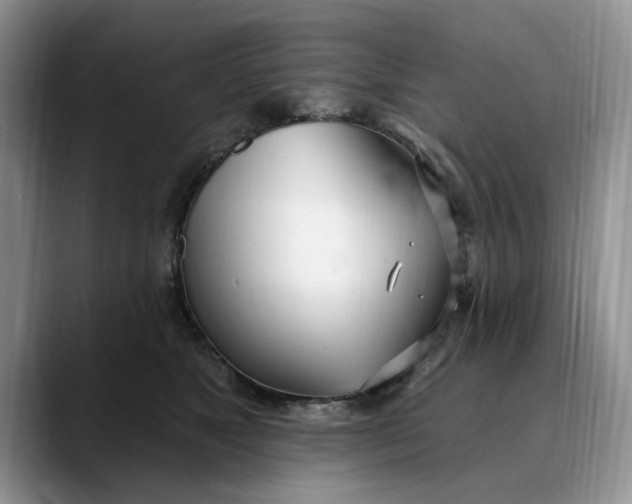 X0000089900517200707192035