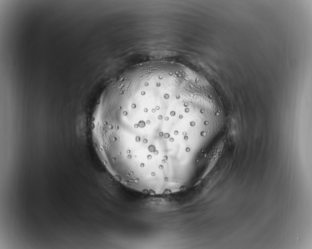 X0000089900519200707192035